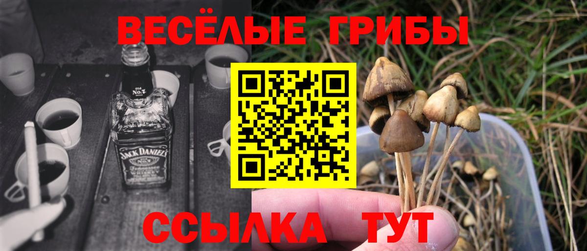Псилоцибиновые грибы мухоморы  сколько стоит  Псилоцибиновые грибы GOLDEN TEACHER  Конаково  Вход с VPN 