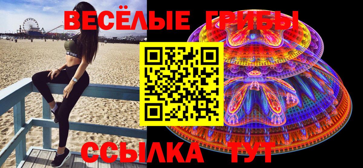 Галлюциногенные грибы Psilocybe Конаково